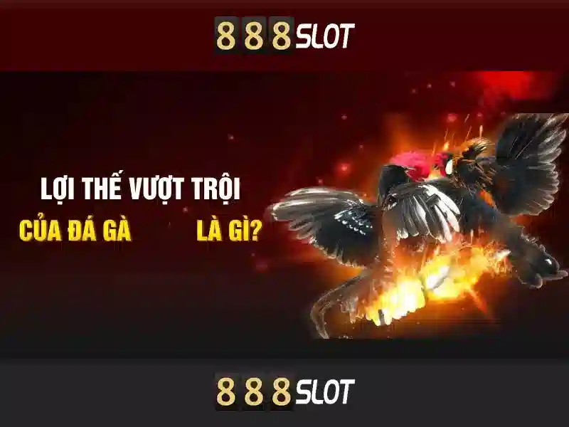 Lợi Ích Khi Tham Gia Đá Gà 888SLOT