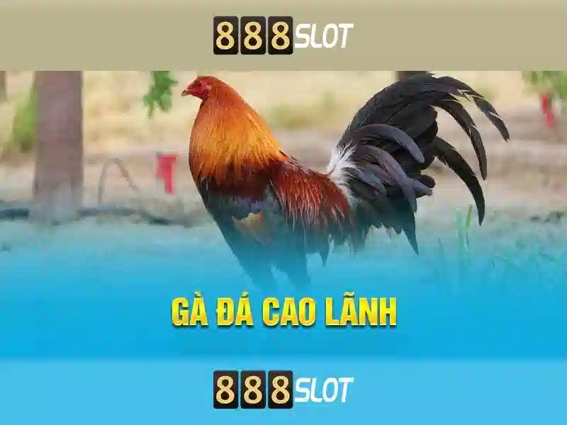 Ưu Đãi Đặc Biệt
