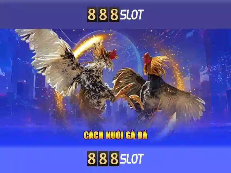 888SLOT - Giải Pháp 888slot Apk Mod Đa Năng Cho Người Chơi SLOT