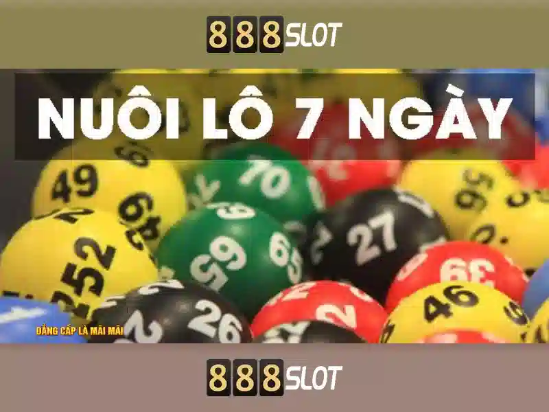 Chơi,SLOT 888SLOT