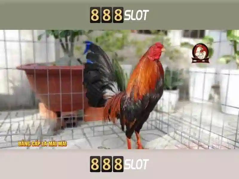 Trải Nghiệm Chơi Slot Online Đỉnh Cao