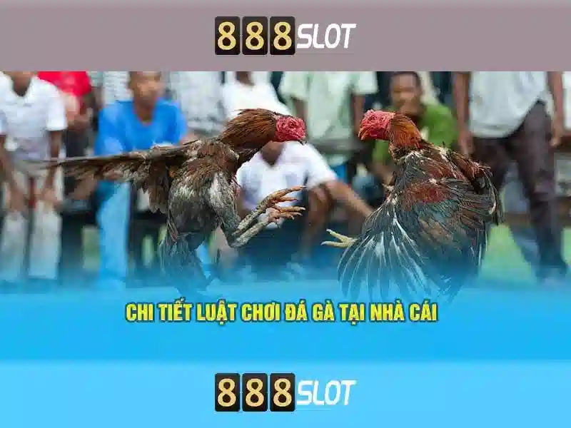 Ưu đãi casino