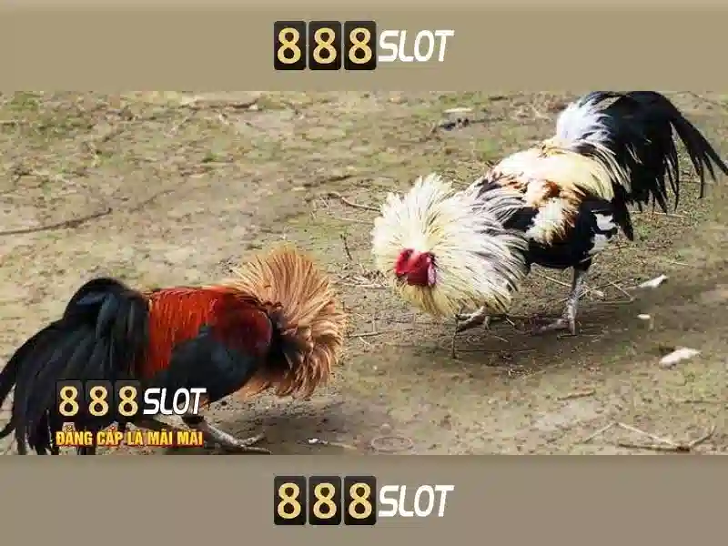 Chương Trình Nhận Thưởng 888slot