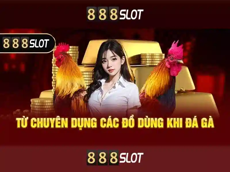 888SLOT - Mã Nhận Thưởng & Khuyến Mãi Hấp Dẫn