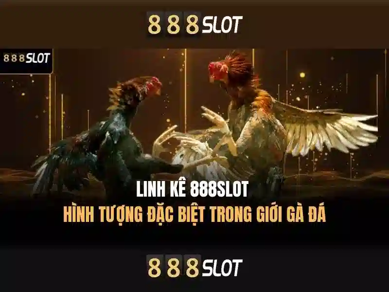 Điều Khoản Sử Dụng 888slot