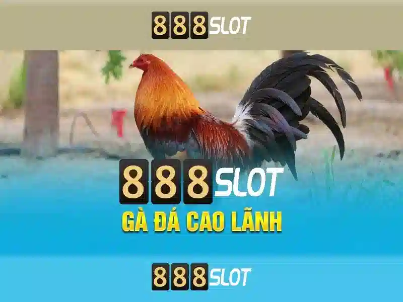 Quyền Lợi Khi Tham Gia 888slot