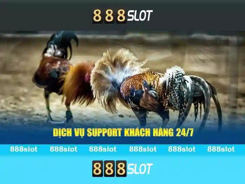 Tại Sao Nên Chọn 888SLOT