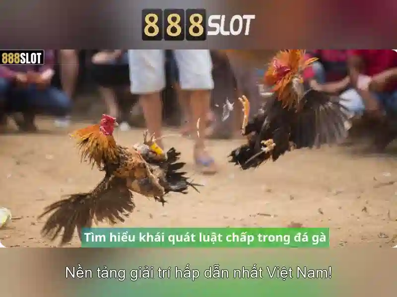 Lý Do Chọn 888SLOT