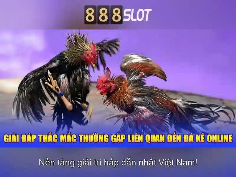 Lý Do Chọn Rút Tiền 888SLOT