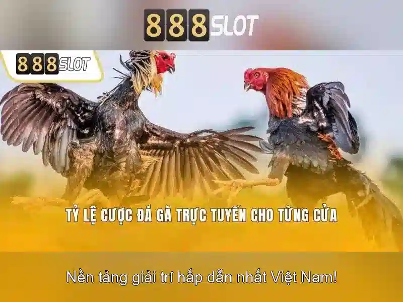 Khuyến Mãi Đặc Biệt Cho Thành Viên