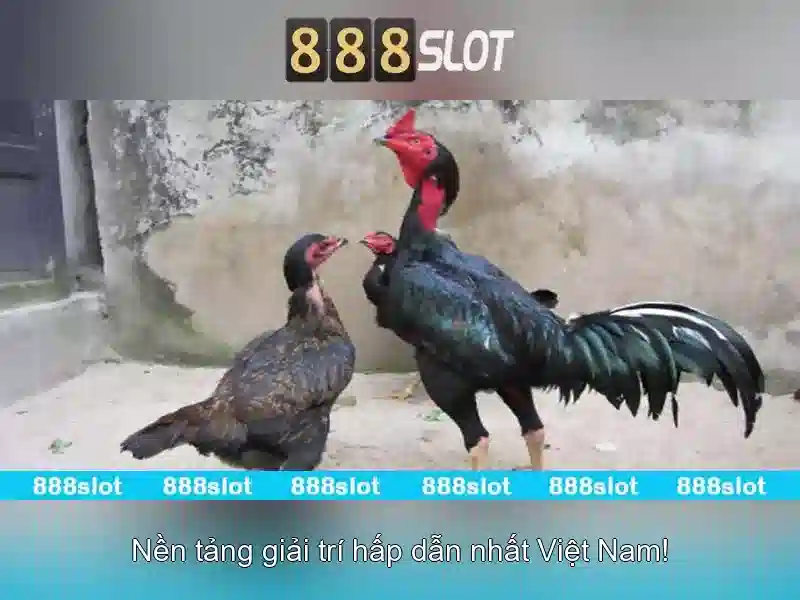 888SLOT – Slot 888 Bet, Casino, Bắn Cá, Nổ Hũ, Thể Thao, Tin Tức, Xổ Số 2026