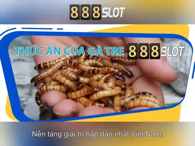 Tỷ lệ trả thưởng cao