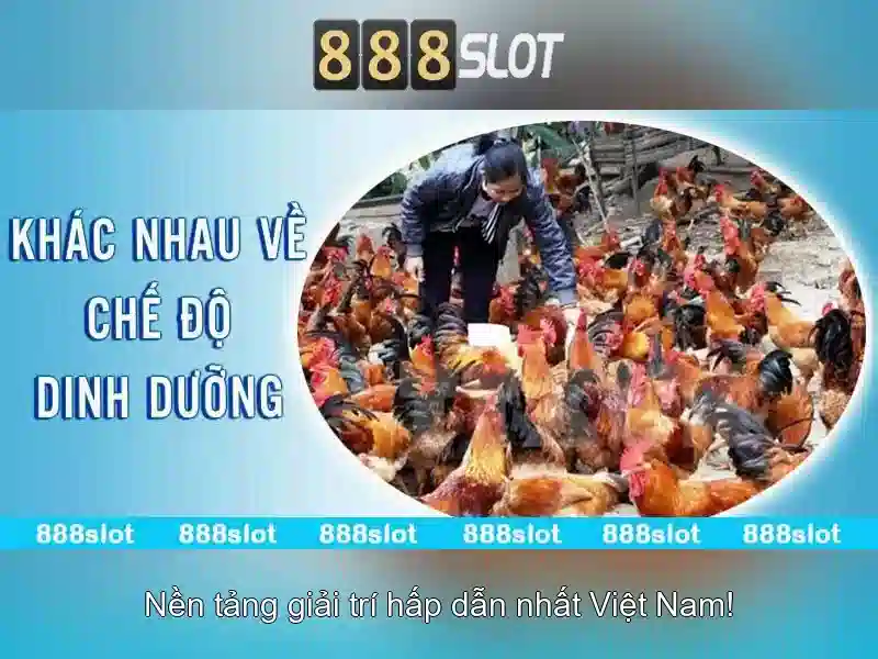 Tải App 888 Slot