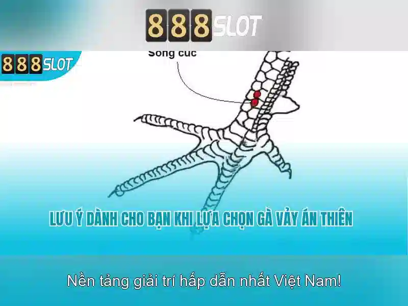 Đặc Điểm Nổi Bật