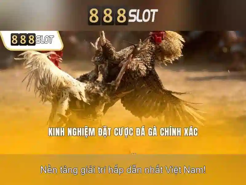 Trải nghiệm 888SLOT